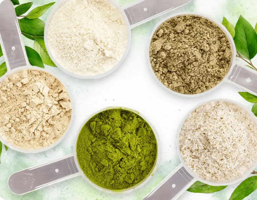 ProDentim natural ingredients in powdered form displayed in measuring scoops, showcasing organic and herbal components used for oral health support.